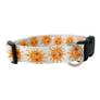Soleil Dog Collar