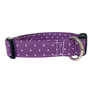 Charlotte Dog Collar