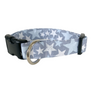 Phoenix Dog Collar