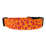 Orange Leopard Dog Collar