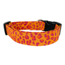 Orange Leopard Dog Collar
