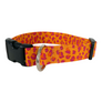 Orange Leopard Dog Collar