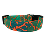 Max Dog Collar