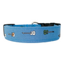 Axe Dog Collar
