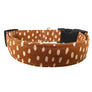 Boho Dog Collar