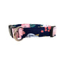 Eva Dog Collar
