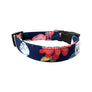 Eva Dog Collar