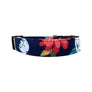 Eva Dog Collar