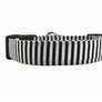 Indy Dog Collar