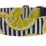 Lemonade Dog Collar - Collars by Design
