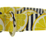 Lemonade Dog Collar - Collars by Design