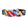 New Wave in Red Dog Collar