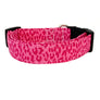 Bright Pink Leopard Dog Collar