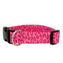 Bright Pink Leopard Dog Collar