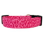 Bright Pink Leopard Dog Collar