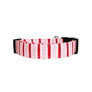 Pink Stripes Dog Collar