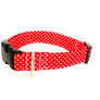 Romeo Dog Collar