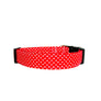 Romeo Dog Collar