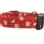 Daisies in Red Dog Collar