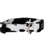 Maggie Dog Collar