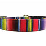 Serape Stripe Dog Collar