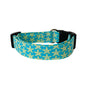 Starfish in Aqua Dog Collar