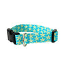 Starfish in Aqua Dog Collar