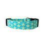 Starfish in Aqua Dog Collar