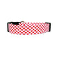 Juliet Dog Collar