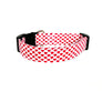 Juliet Dog Collar