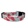 Watermelon Slices Dog Collar