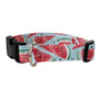 Watermelon Slices Dog Collar