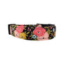 Willow Dog Collar