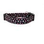 XOXO Dog Collar