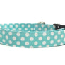 Aqua and White Polka Dot Dog Collar