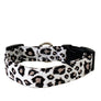 Leopard Dog Collar