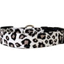 Leopard Dog Collar