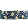 Daisies in Blue Dog Collar
