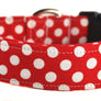Minnie Dog Collar - Collars by Design