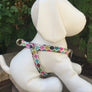 Step-In Harness - Your Choice of Fabric and Size - Collars by Design