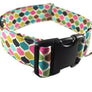 Upgrade to a 1.5" Width Collar - Collars by Design
