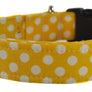 Dots in Yellow Dog Collar - Collars by Design