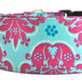Upgrade to a 2" Width Collar - Collars by Design