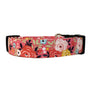 Les Fleurs Dog Collar