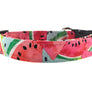 Watermelon Dog Collar