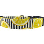 Lemonade Dog Collar