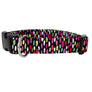 Candies Dog Collar