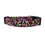 Candies Dog Collar