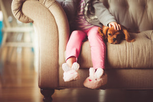 Choosing The Perfect Family Dog