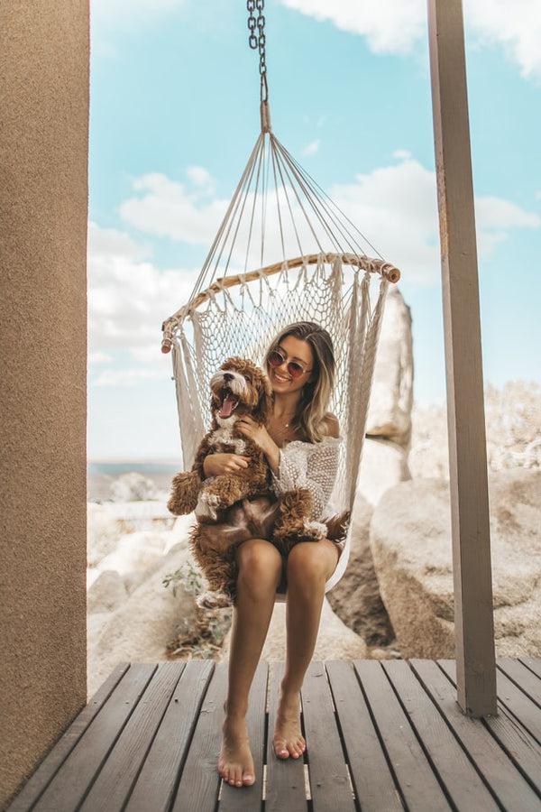 7 Tips For First Time Dog Owners